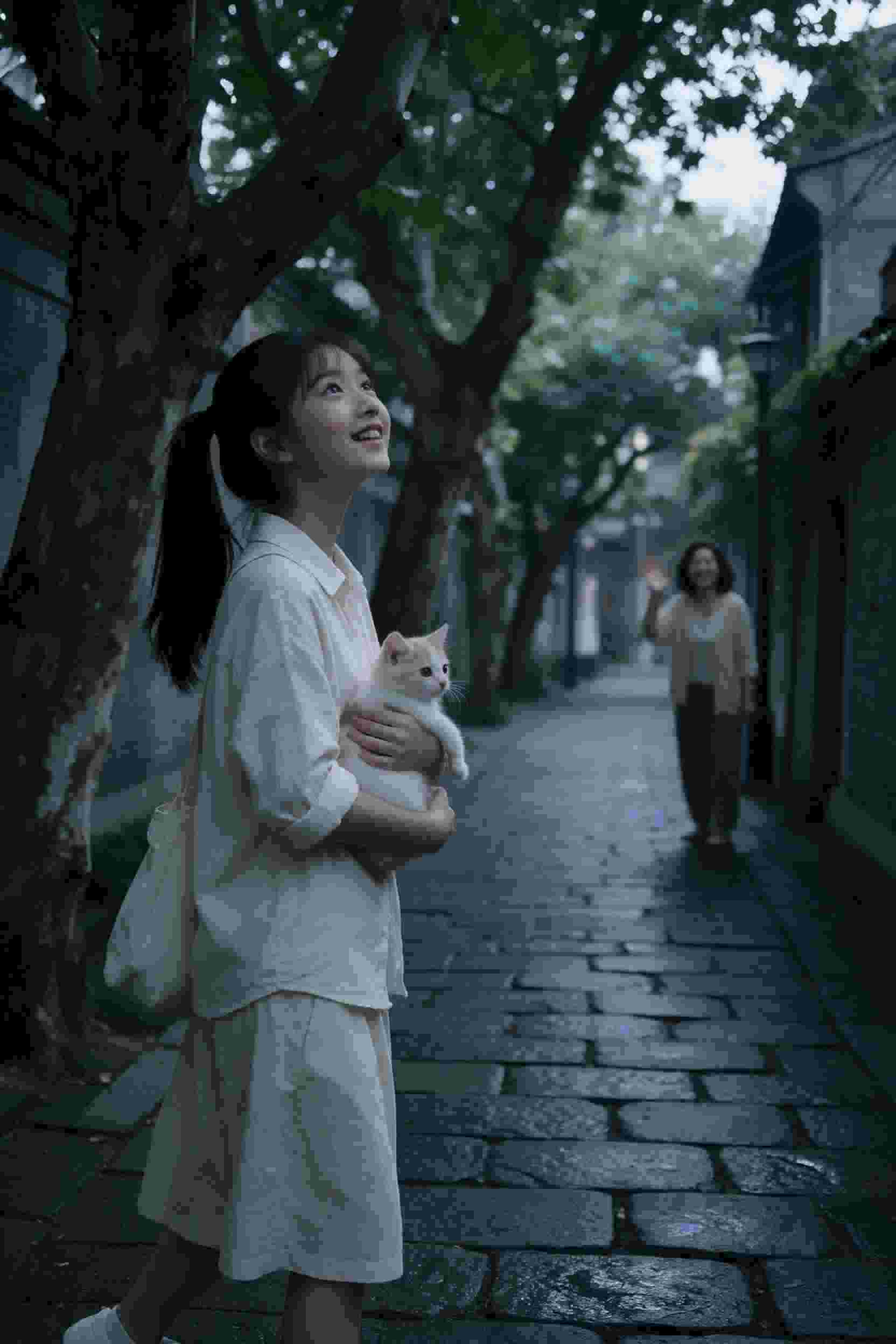 在线观看
